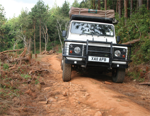 DRIVING MALAWI